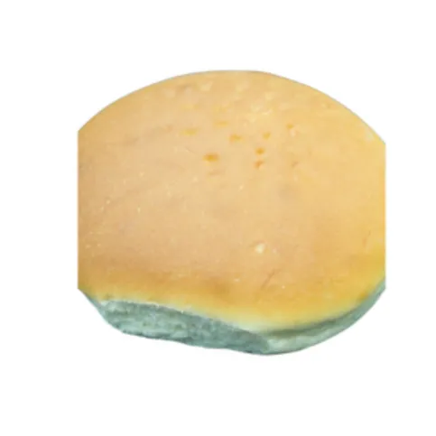 Stuart's Bakers - Cabin Biscuit (each)